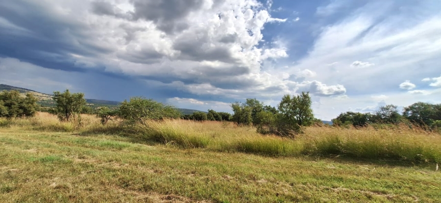 10 Bedroom Property for Sale in Swartruggens North West